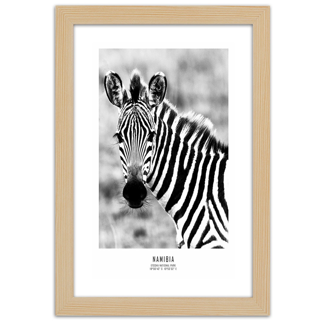 Gerahmter Grafikdruck, Zebra Tiere Natur