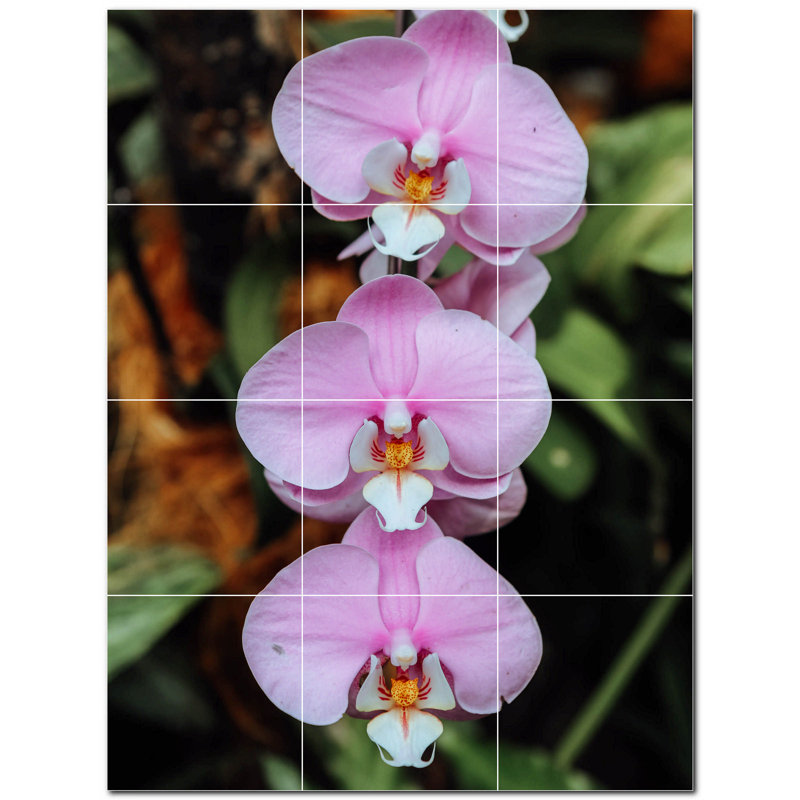 Fleurs photo 8 x 8