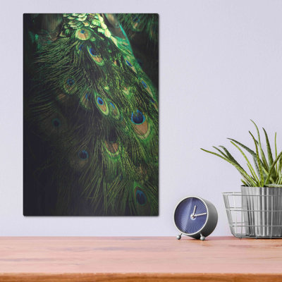 Peacock Tail par Incado - photographie non encadrée sur métal