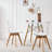 Acrylic Dining Chairs, PU Leather Cushions Solid Beech Legs For Living Room-1591190209-1591190213
