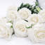 Vraies roses blanches préservées de 20 pouces: roses à longue tige qui durent éternellement - ensemble de 10-1971217538