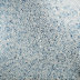 Blue/Gray