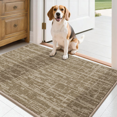 Tapis de porte antidérapant avec envers en TPR - Doux, lavable, paillasson à profil bas pour l'entrée intérieure, parfait pour les animaux de compagnie et la famille