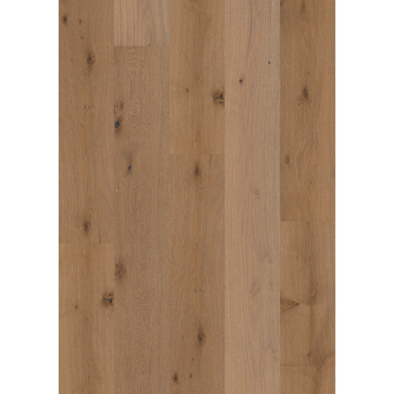 Plancher de bois franc d'ingénierie brossé au fil de fer l 9,45 po x 15 mm Tx Third Avenue, Bois blanc