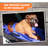 Arthuro Plastic Pet Carrier