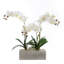 Orchid Faux Floral Arrangement in Pot