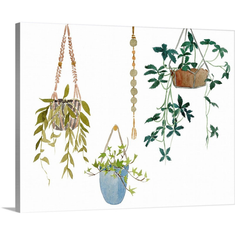 «Hanging Greens I», art mural sur toile, Toile tendue, H 32 po x l 40 po