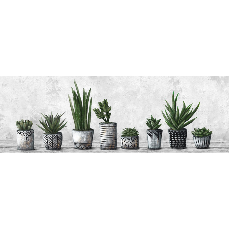 «Amazing Pile of Succulents», reproduction sur toile tendue, H 20 po x l 60 po