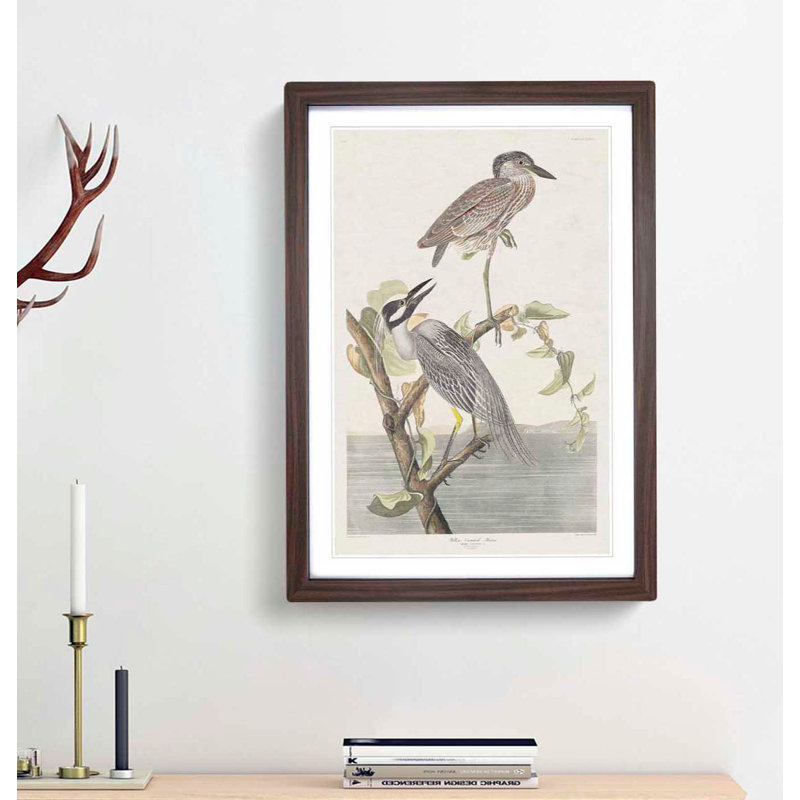 Yellow-Crowned Heron by John James Audubon - Picture Frame Art Print, 65cm H x 48cm W x 2cm D, Walnut Framed