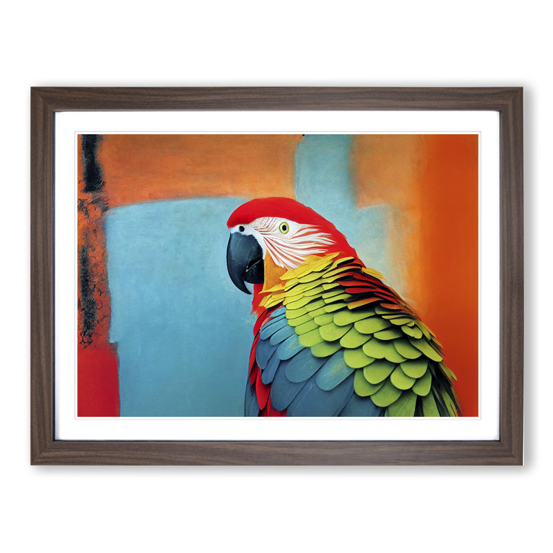 Stimulating Parrot - Framed Print, 25cm H x 34cm W x 2cm D, Walnut Framed