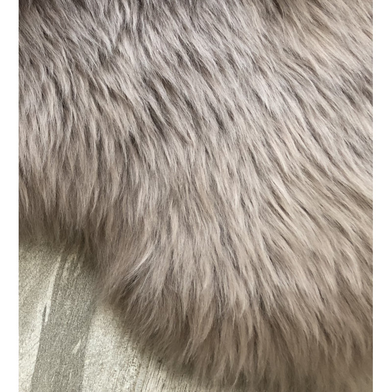 Tapis brun Whiddon, Nouveauté 2 pi x 3 pi