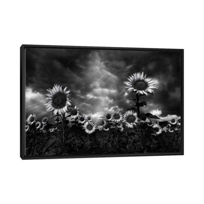 Sunflowers by Fran Osuna - Floater Frame Print on Canvas