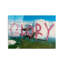 Boze 1 Piece Wall Art