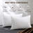 Polyester Pillow Protector-130901549