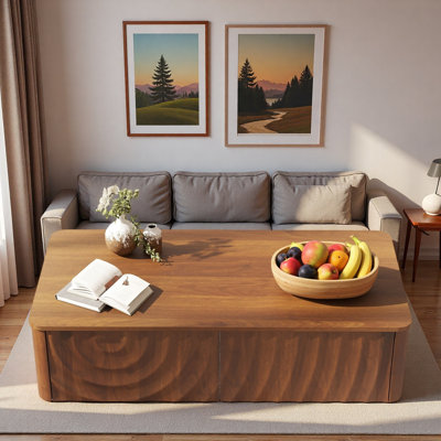 Table basse 2 tiroirs Modern