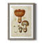 Champignon Variétés I encadré mat - prêt à accrocher-302263826-302263825