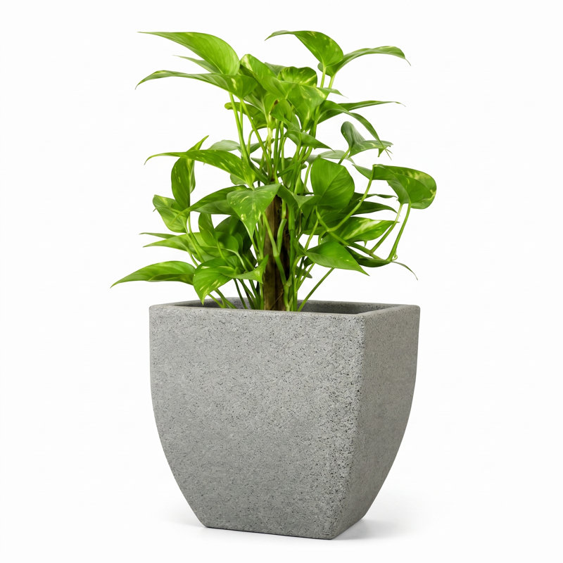 Vinesha ECOBO Eco-Friendly Planter Indoor/Outdoor Planter for Flowers & Plants Contemporary All-Weather, Gray, 1