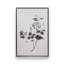 «Botanical I» par Deborah Revell, reproduction d'art sur toile-311061889-311061891-311061893