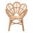Briette 29.5'' Rattan Wide Armchair