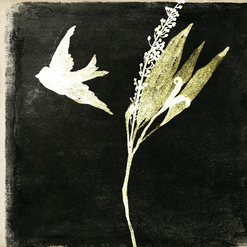 Black Night II by Melissa Wang - Wrapped Canvas Painting, 30cm H x 30cm W x 3.8cm D