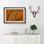 Leaf Veins - Picture Frame Photograph Print-55772189-55772191