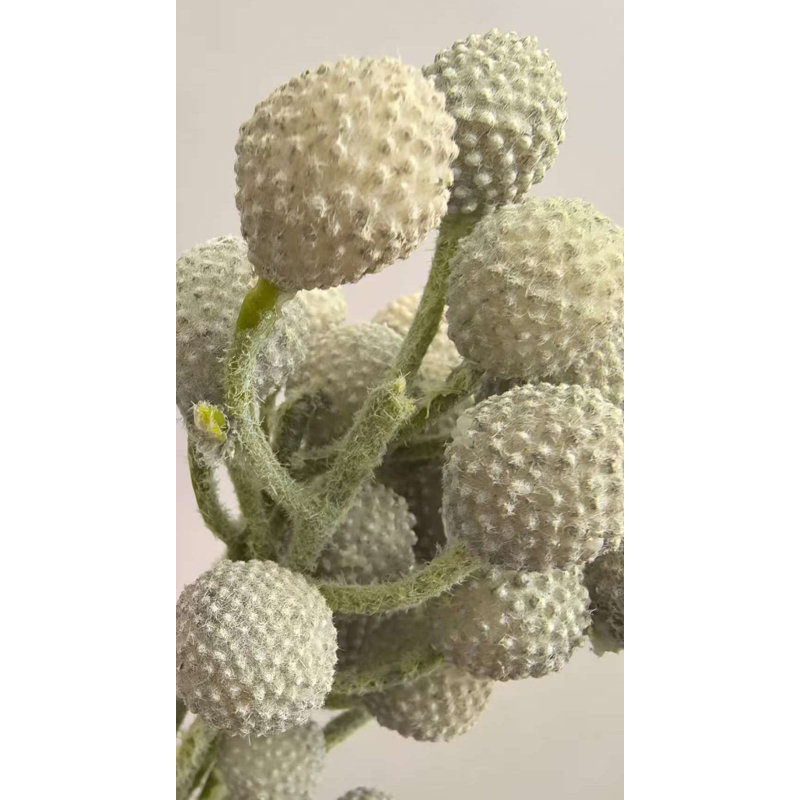 FAÇON DE NOIX DE PALMIER 13'', Blanc