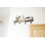 MOUSSE DE TRAIN 4 HOOK COAT HOOK