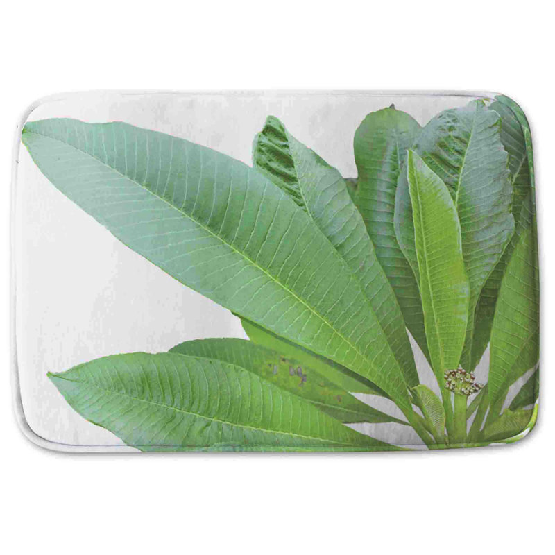 Moheen Non-Slip Bath Mat