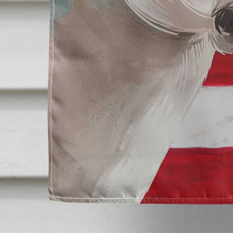 Double Sided 40'' H x 28'' W Polyester Independence Day House Flag, Braque Francais