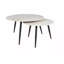 Samaire Coffee Table-891336400