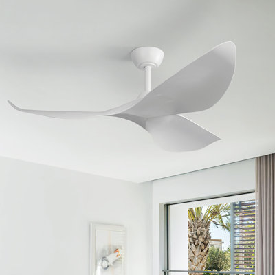Ventilateur de plafond 3 pales 38 po Degregorio