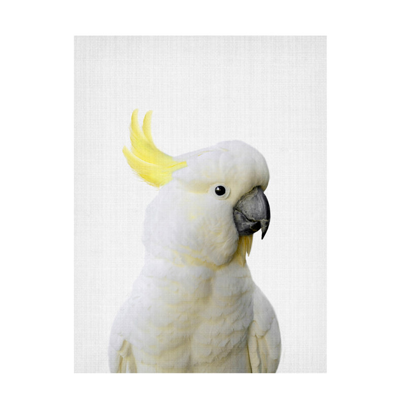 «Peekaboo Cockatoo On Canvas» par Lola Peacock, reproduction, H 32 po x l 24 po x P 2 po