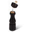 Brand Salt Mill-610798110-610798107