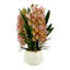 Orchid Arrangement with Rocks in a Ceramic Pot-1614395908