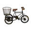 Sculpture en bois et tricycle Sufyaan