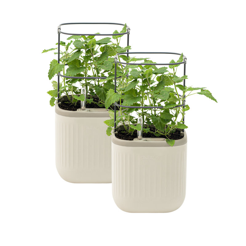 Mini Plastic Outdoor Pot Planter with Trellis, Cream White, 2