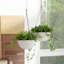 Boxdale Hanging Planter - Set of 2-650146792-650146796
