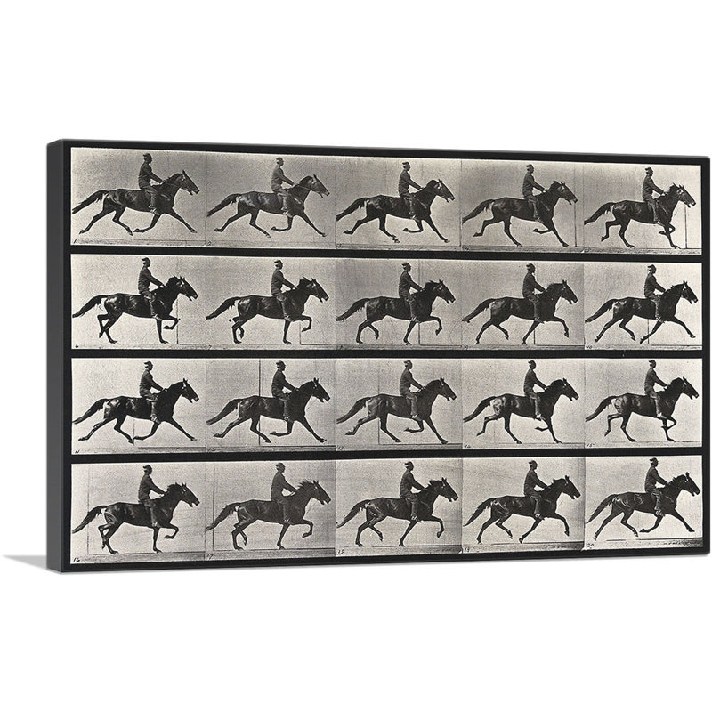 «A Horse Trotting 1887» par Ead vêtementsd Muybridge - reproduction de dessin sur toile tendue, H 18 po x l 26 po x P 1,5 po