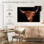 Vache écossaise Highland-518543477-518543459
