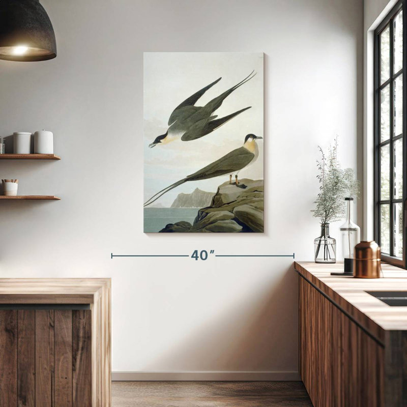 Brampt Arctic Yager, 39" H x 26" W