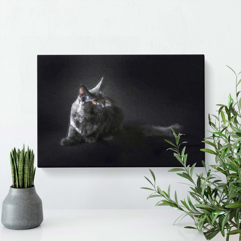 Maine Coon Kitten - Wrapped Canvas Painting, 50cm H x 76cm W x 3cm D