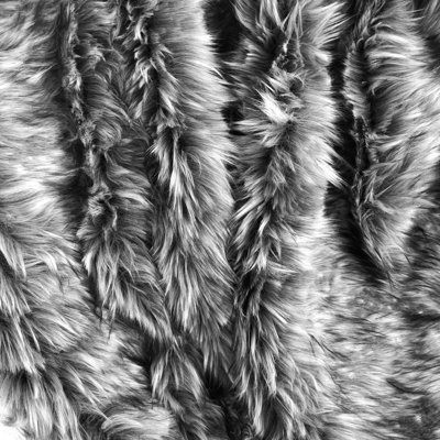 Grey Wolf Throw Blanket