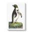 Crested Penguin by George Shaw - Wrapped Canvas Painting-55304496
