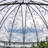 "Medellin 1972" Ornate Round Iron Garden Gazebo-99839246