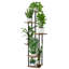 Plant Stand-1293711449