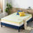 Holthaus 4'' Memory Foam Mattress Topper-95002432