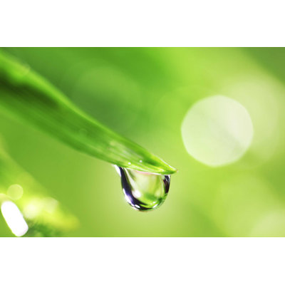 " Big Water Drop " by Ivanmikhaylov