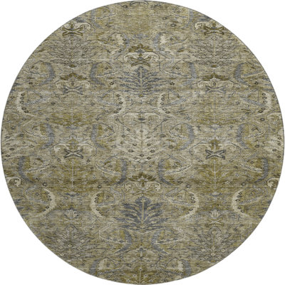 Premium Machine Washable Jamestown AMF1082 Damask Rug