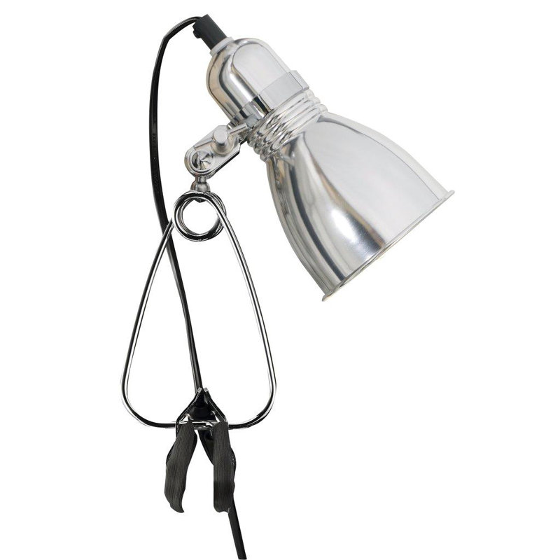 Osbaldo Metal Clip On Lamp