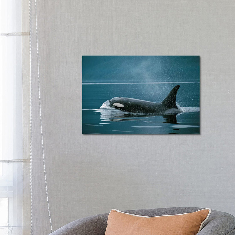 Orca, Johnstone Strait, British Colombia, Canada by Hiroya Minakuchi - Wrapped Canvas Print